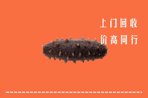 高价求购：定安回收海参