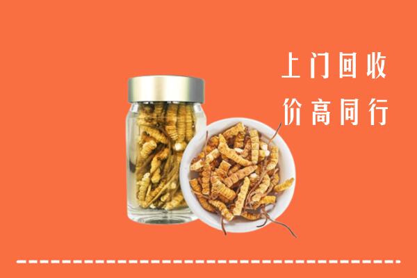 定安回收冬虫夏草