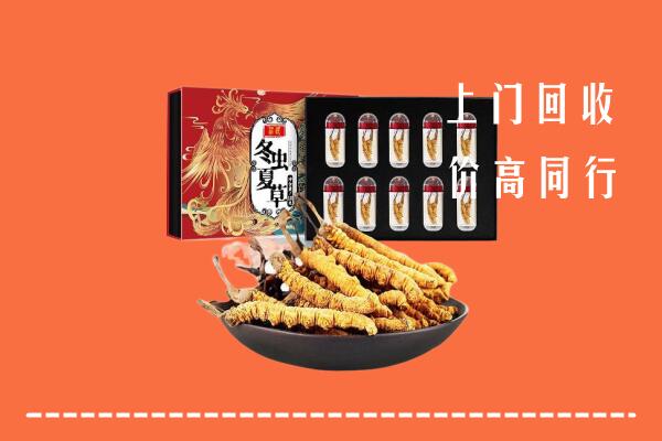 定安回收虫草